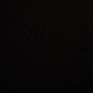 Meet your Posher, Delaney